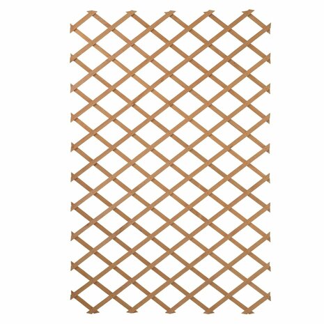 Latwerk voor tuin 100x200 cm natuurlijk hout 6041703