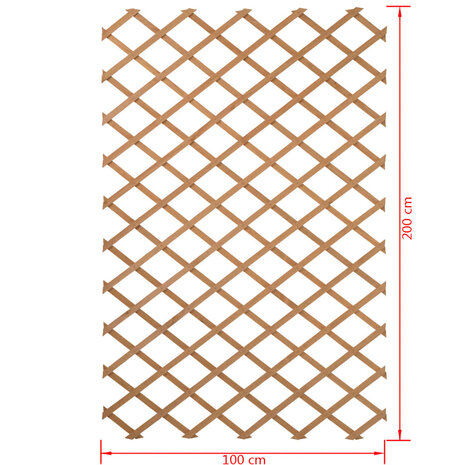 Latwerk voor tuin 100x200 cm natuurlijk hout 6041703