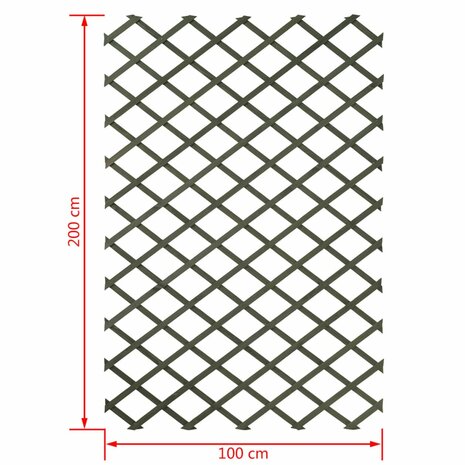 Plantenklimrek 100x200 cm hout groen 6041704