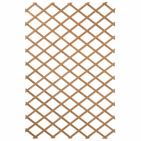 Tuinlatwerk 50x150 cm hout natuurlijk