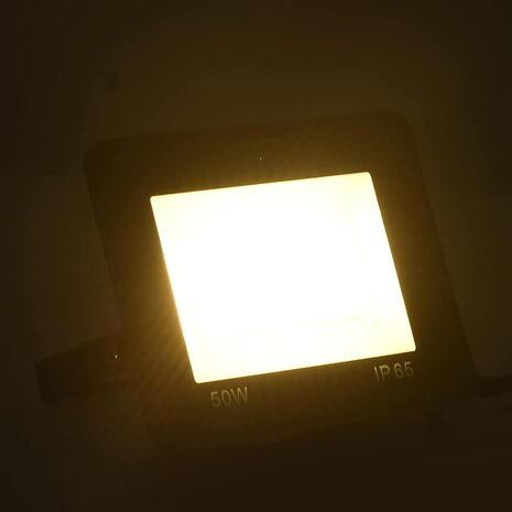 Spotlights 2 st LED 50 W warmwit