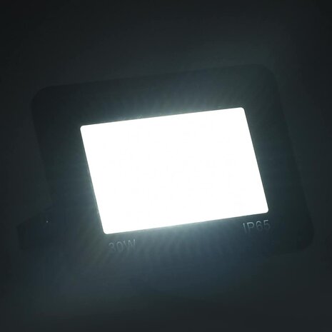 Spotlight LED 30 W koudwit