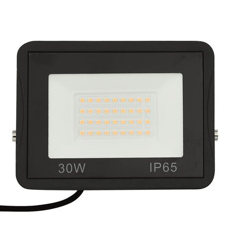 Spotlight LED 30 W koudwit