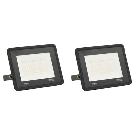 Spotlights 2 st LED 50 W koudwit