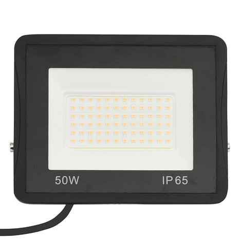 Spotlights 2 st LED 50 W koudwit