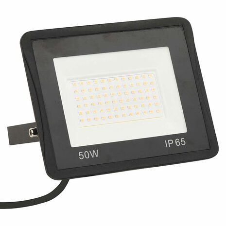 Spotlights 2 st LED 50 W koudwit