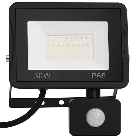 Spotlight met sensor LED 30 W koudwit