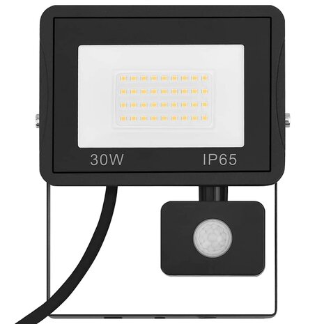 Spotlight met sensor LED 30 W koudwit