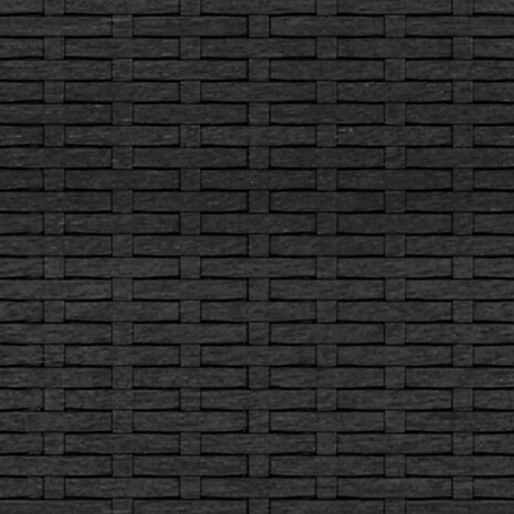 2-delige Loungeset met kussens poly rattan zwart
