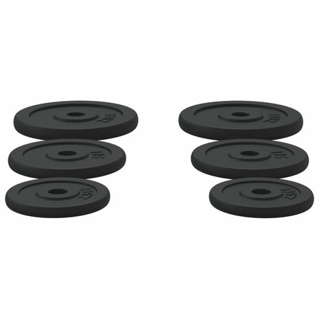 Halterschijven 6 st 30 kg gietijzer