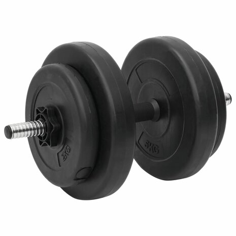 Halterset met gewichten curl 60 kg