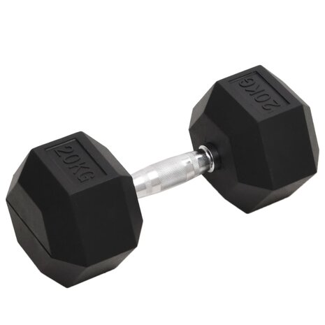 Halters 20 kg gietijzer