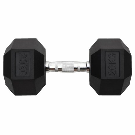 Halters 20 kg gietijzer