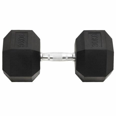 Halters 30 kg gietijzer