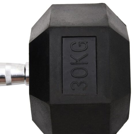 Halters 30 kg gietijzer