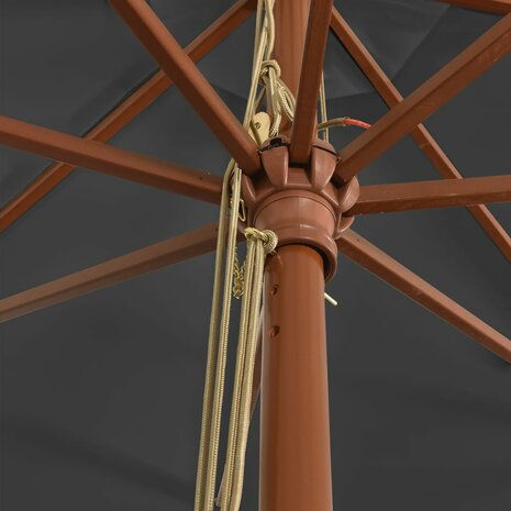 Parasol met houten paal 400x273 cm antracietkleurig