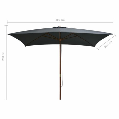 Parasol met houten paal 200x300 cm antraciet